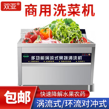 双亚 洗菜机商用臭氧机洗菜消毒机气泡果蔬机解毒机厨房饭店食堂养殖场农药分解机环流对冲式洗菜机 100*80*80 涡流式