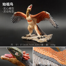 儿童恐龙玩具侏罗纪动物仿真模型翼龙特暴龙三角龙头骨龙腕龙 始祖鸟