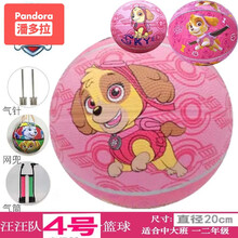 儿童篮球5号幼儿园专用3号拍拍球宝宝小皮球玩具球公主卡通 4号  天天 送气筒