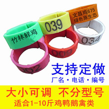 鸡脚环卡扣式鸡用脚环脚圈记号识别环鸡鸭鹅家禽类脚环脚圈 黄色/带编号001-100