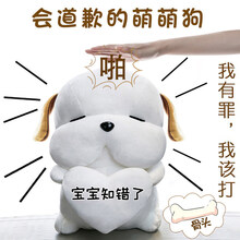 520情人节生日道歉礼物送女友朋友老婆哄女友神器实用异地恋 彩袋-呆萌狗60cm蜡笔小新声音(宝宝知错了).拍