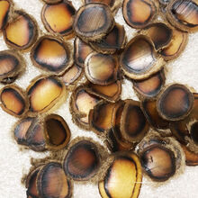 东北全蜡片头茬鹿茸腊片长白山鹿茸片粉片血片男性品泡酒鲜鹿 全蜡片1克【试用装】2片左右