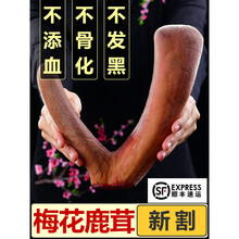 ℘‼️〶 东北梅花鲜鹿茸片整枝泡酒药材整只新鲜带血专用血片中药礼盒