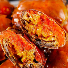 【优选零食】香辣蟹即食罐装熟食小螃蟹全母大闸蟹麻辣海鲜零食 350克全母1罐装