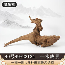 逸乐宠 紫柚木鱼缸造景沉木造景天然枯木头水族草缸懒人装饰小号型莫斯树桩根水榕成流木 40号已煮沉木