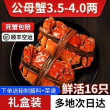 【活蟹】觅味鲜大闸蟹公母蟹3.5-4.0两16只六月黄超大蟹新鲜螃蟹鲜活生鲜湖蟹现货河蟹 全母蟹2.1-2.4两8只