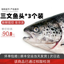 三文鱼头冰鲜剁椒鱼头新鲜冷冻超大 单个500-600克 发3个顺丰