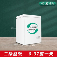 家用无霜大容量小冰柜冰箱电冰柜迷你冷冻冷藏柜小型小商家两用 TEAEGG定制 42A108标准款+加厚