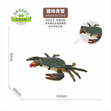 wenno仿真动物模型儿童玩具摆件男女孩生日礼物恐龙长颈鹿小狮子小老虎小象玩具 青蟹