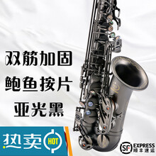 初学降e调中音萨克斯风/管乐器成人入门考级森德萨克斯 伊薇230Y双键筋加固升级鲍鱼按片亚光黑色＋17件