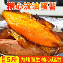 新鲜紫薯 糖心红薯 烟薯25号 紫罗兰小紫薯  天目山小香薯5斤 黑土豆 紫色马铃薯 黑美人小土豆 蜜薯中果 3斤