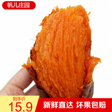 帆儿庄园 蜜薯烟薯25糖心红薯超甜稀瓤5斤红心农家沙地新鲜烟薯番薯 1.5kg带箱