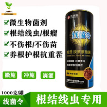 哈茨木霉淡紫紫孢菌果树柑橘根结线虫专用黄瓜蔬菜生物菌肥杀线剂 1000克