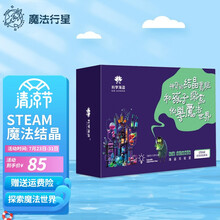 stem科学实验儿童玩具整套装小学生手工diy自制科技小制作STEAM小发明 元旦生日礼2 魔法结晶实验【化学实验8合1】