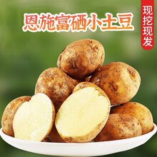 恩施富硒小土豆高山黄心马铃薯洋芋新鲜蔬菜云南红皮土豆 云南红皮土豆9斤