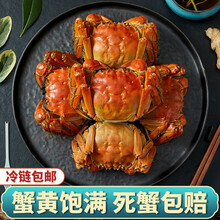 【活蟹】现货蟹品煌大闸蟹 大蟹 六月黄 特大鲜活的大蟹 生鲜 螃蟹水产河蟹 活体实物全公母大闸蟹 六月黄大闸蟹1.7-2.0两 十只礼盒装