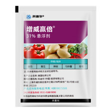 杜邦 增威赢倍 31%噁酮·氟噻唑番茄霜霉病早疫病晚疫病剂 100ml