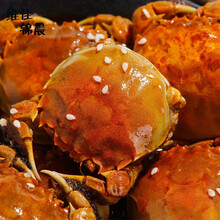 香辣蟹罐装熟食小螃蟹即食母蟹一元蟹大闸蟹钳切蟹麻辣海鲜零食 300克全公2罐(香辣)