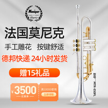 法国莫尼克（Monique）小号 管乐器 降B调黄铜磷铜白铜材质初学考级演奏管乐团队成人学生通用乐器 MTR-850FL