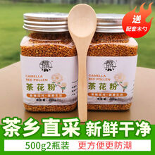 新鲜茶花粉纯正假一罚十茶花蜂花粉茶花粉食用茶花粉批发蜜蜂花粉 茶花粉500g(送勺子)
