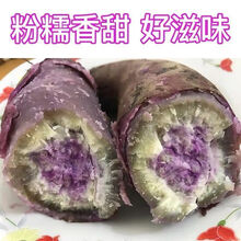 冰淇淋红薯新鲜红蜜薯超甜糖心地瓜小红薯红心沙地一点红番薯 【实发3斤】小果