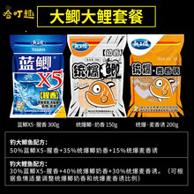 班奇盾 龙王恨鱼饵蓝鲫X5钓鱼饵料套餐野钓鲫鱼鲤鱼料鱼食窝料拉丝粉通杀 大鲫鱼大鲤鱼通杀套餐(3包共650g)
