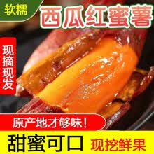 西瓜红蜜薯5斤红薯新鲜10斤糖心板栗沙地超甜红心山芋农家烤地瓜 9斤装 中大果