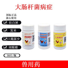 兽药鸡鸭鸡吃的药小鸡开口灵兽用小鸡开口药清瘟解毒片鸡用 大肠杆菌套餐【黄连解毒片+甲砜霉素+土霉素片】