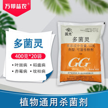 国光50%多菌灵花生倒秧病麦类赤霉病水稻纹枯病稻瘟病杀菌剂农药植轻松 400克