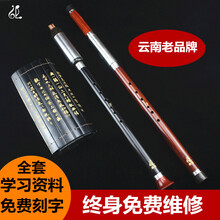 巴乌横吹竖吹演奏型乐器 红木竖吹降B调