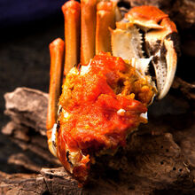 活鲜【冷链运输】精品大闸蟹 江苏特产大闸蟹 中秋礼品 礼盒装  欧登城娜 公3.0两母2.0两各3只