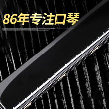 口琴国光24/28孔复音重音c调宽音域口琴初学者入门学生专业演奏级TX 24孔复音梦境黑【重音】
