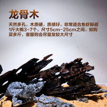 天然杜鹃根精品栖根沉木鱼缸水草缸雨林缸树枝树根造景微景观素材 龙骨木0.5斤
