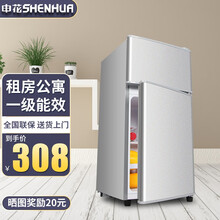 申花（SHENHUA）双门迷你冰箱 家用小型两门 快速冻保鲜省电噪音小 公寓租房宿舍办公室小巧不占地 【一级能耗】BCD-42A118 银色