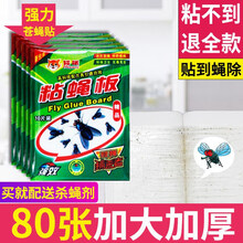 粘苍蝇纸大号 苍蝇贴自带诱饵粘蝇纸大号挂粘绳强力诱蝇粘蝇胶力灭蝇纸捕蝇 40片 自带诱蝇剂