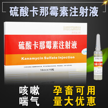 硫酸卡那霉素注射兽用液支原体肺炎猪牛羊鸡鸭鹅犬猫卡那霉素针剂 1盒