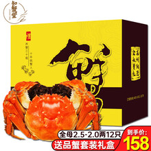 【活蟹】知蟹堂大闸蟹鲜活 螃蟹活物生鲜六月黄河蟹海鲜礼盒装 豪礼相送：全母（2.5-2.0两）12只