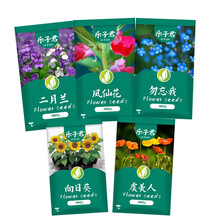 乐子君 种子 花卉种子30款花草种子混装花种子满天星波斯菊太阳花阳台室内碗莲花草盆栽观花卉植物种籽 5包:凤月向勿虞