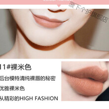 李佳奇的口红夏季颜色显白奶茶色口红裸色系哑光自然适合夏天涂素颜浅色淡色 裸米色 11#