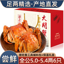 【活蟹】6只装臻原生阳澄湖六月黄大闸蟹鲜活螃蟹现货海鲜水产生鲜蟹类礼盒 全公蟹：5.0-5.4两（6只）