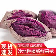 【农家精选紫薯 】10斤沙地紫薯新鲜 番薯板栗红薯地瓜蜜薯蔬菜2斤 紫薯2斤