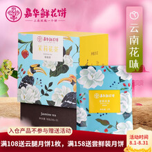 嘉华 茉莉花茶（袋泡茶）2g*9袋/盒 休闲下午茶 花味清香花果茶