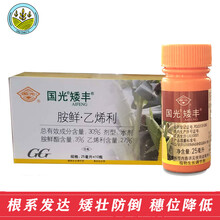 国光矮丰胺鲜酯乙烯利玉米增产控旺抗倒伏促生根系发达生长调节剂 250ml