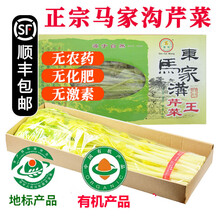 【顺丰】山东青岛马家沟芹菜 平度特产空心有机玻璃脆 新鲜蔬菜 【有机精品】2斤 更嫩更黄