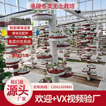 鲸榜空中草莓蔬空心菜栽培系统多层立体种植槽A字架无土水产基质智能玻璃育苗温室连体大棚鱼菜共生设备配件 智能温室大棚