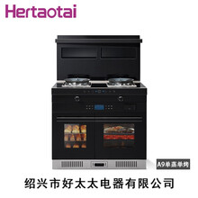 Hertaotai-A9单蒸单烤-智能厨房电器-绍兴市好·太·太电器有限公司