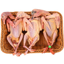 中心忠味鸽子肉 新鲜土鸽子肉 乳鸽 老鸽现杀现发 225g （3只装单只约75克）
