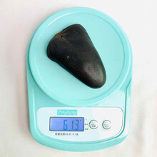 【鲜寻家】鹿尾巴 马鹿尾巴干30-70克可选 鹿尾巴精 整只壮鹿尾吉林双阳 马鹿尾61.3克/只