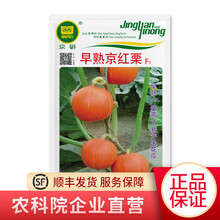 北京农科院京研南瓜种子早熟板栗南瓜种籽贝贝南瓜种子庭院阳台四季甜栗粉绿皮薄大田非转基因蔬菜种籽 早熟京红栗10克1袋