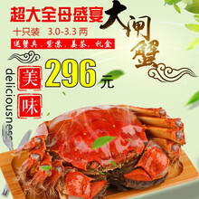 【活蟹】阳澄凯馨大闸蟹 现货鲜活特大螃蟹 活蟹超大全母蟹活体 海鲜水产生鲜礼盒 全母蟹套餐3.0-3.3两   十只礼盒装